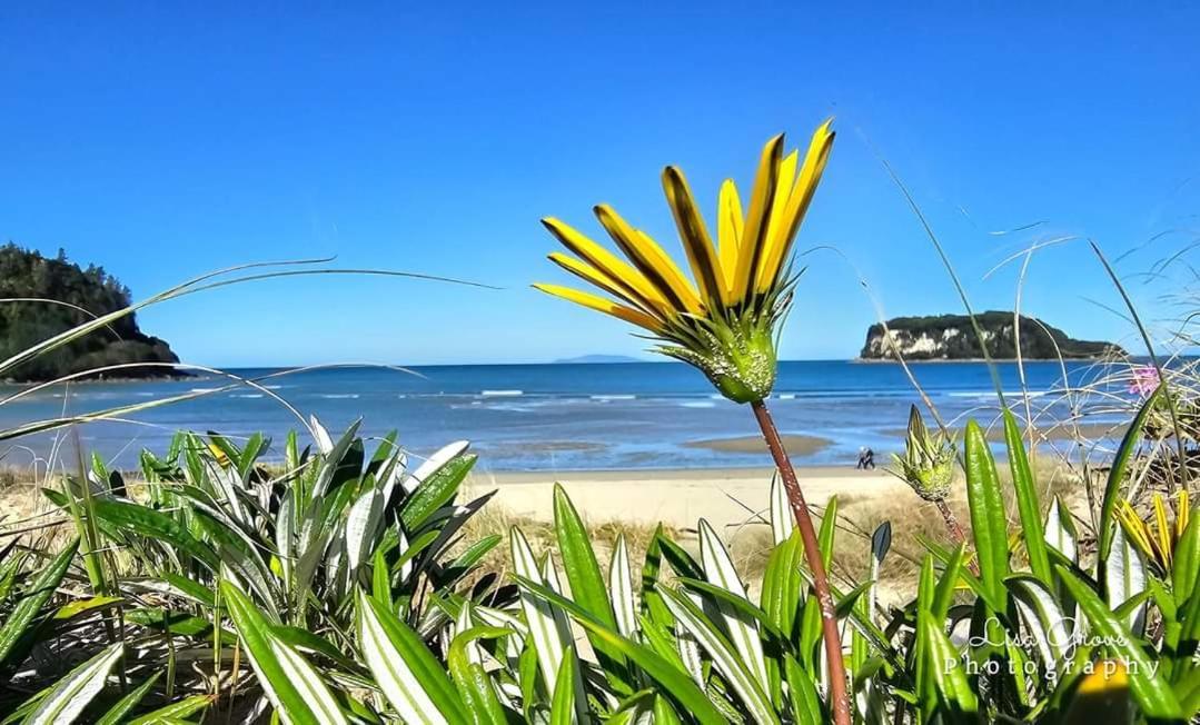 Southpacific Motel Whangamata Bagian luar foto